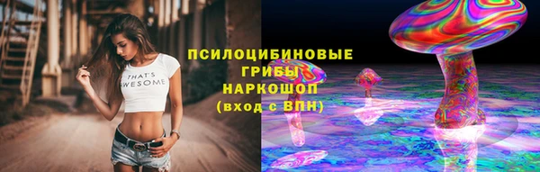 бошки Армянск
