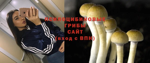 Альфа ПВП Алексеевка